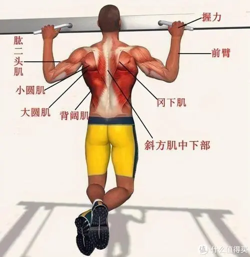 天博体育官网入口：室内健身怎么拉伸腿和腿