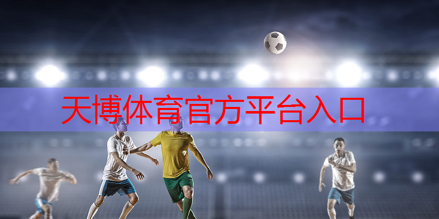 乒乓球台绒布套 乒乓球台绒布套